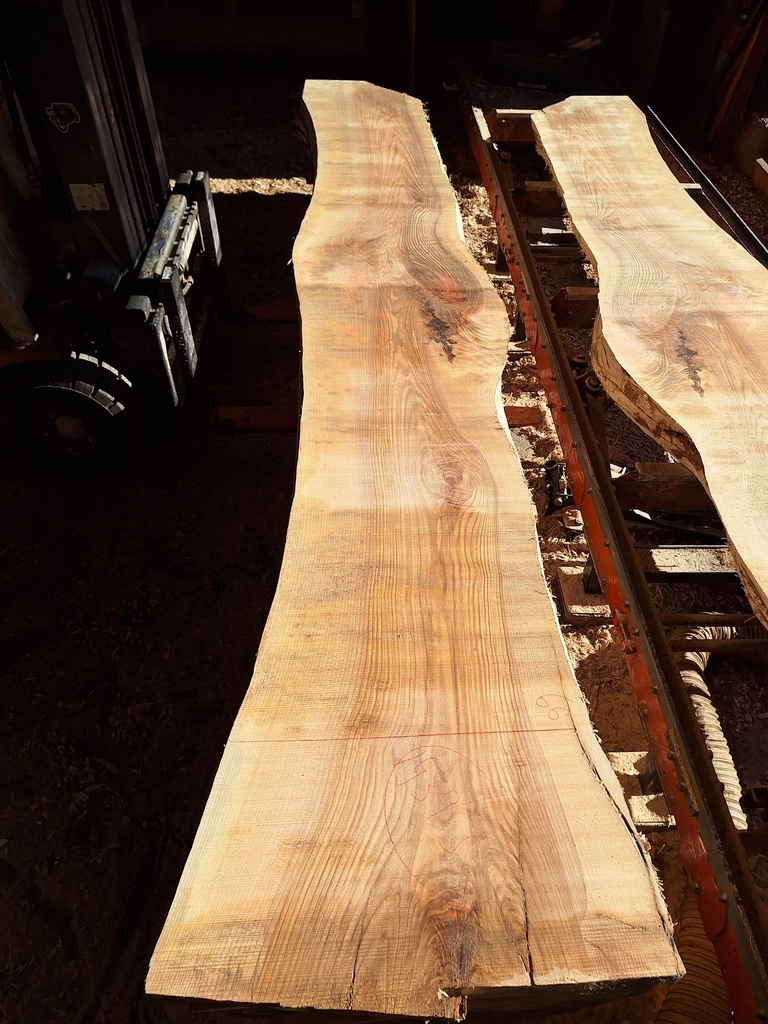 Plateau Frêne 53 x 510-660 x 4040 mm de la boule 1439 - 5