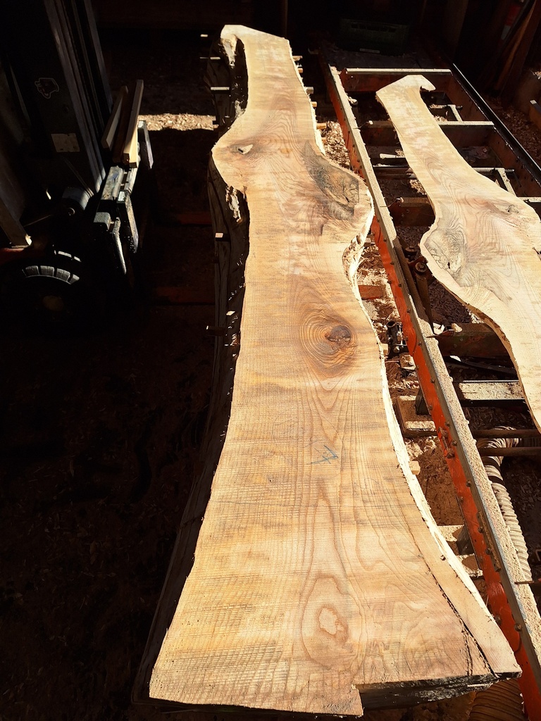 Plateau Frêne 53 x 280-500 x 4040 mm de la boule 1439 - 7