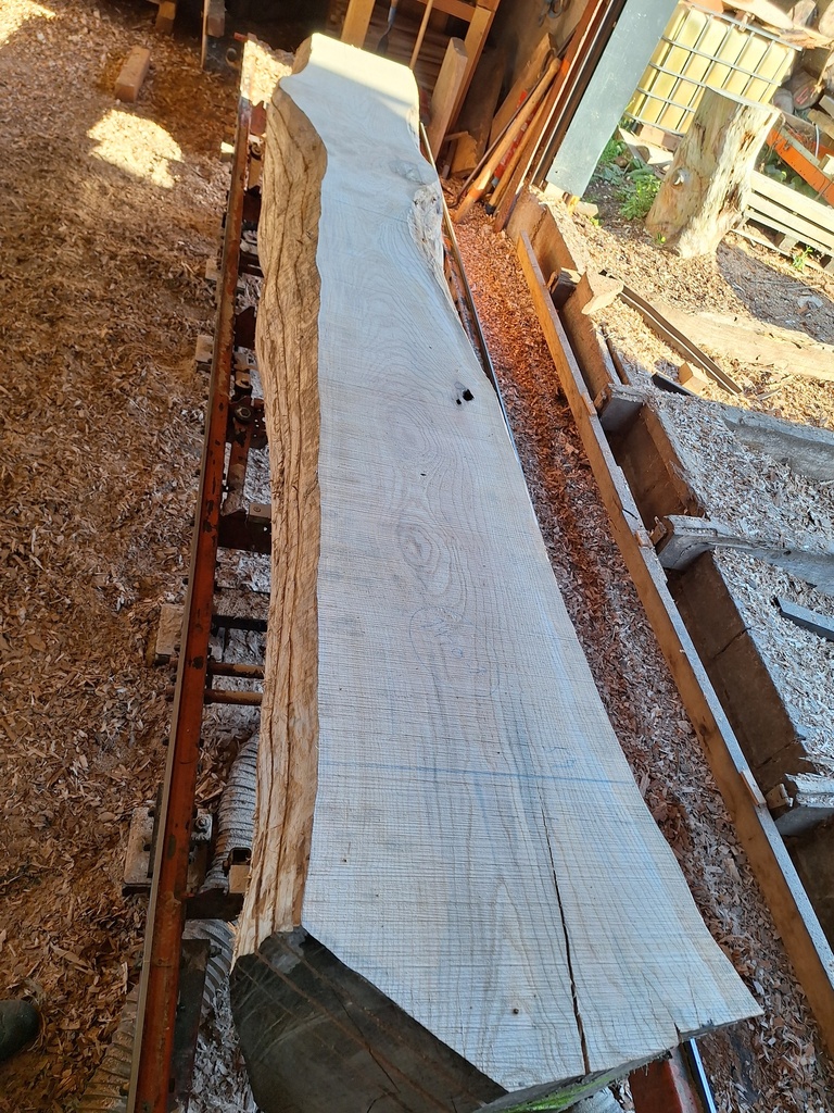 Plateau Frêne 53 x 280-540 x 3950 mm de la boule 1440 - 1