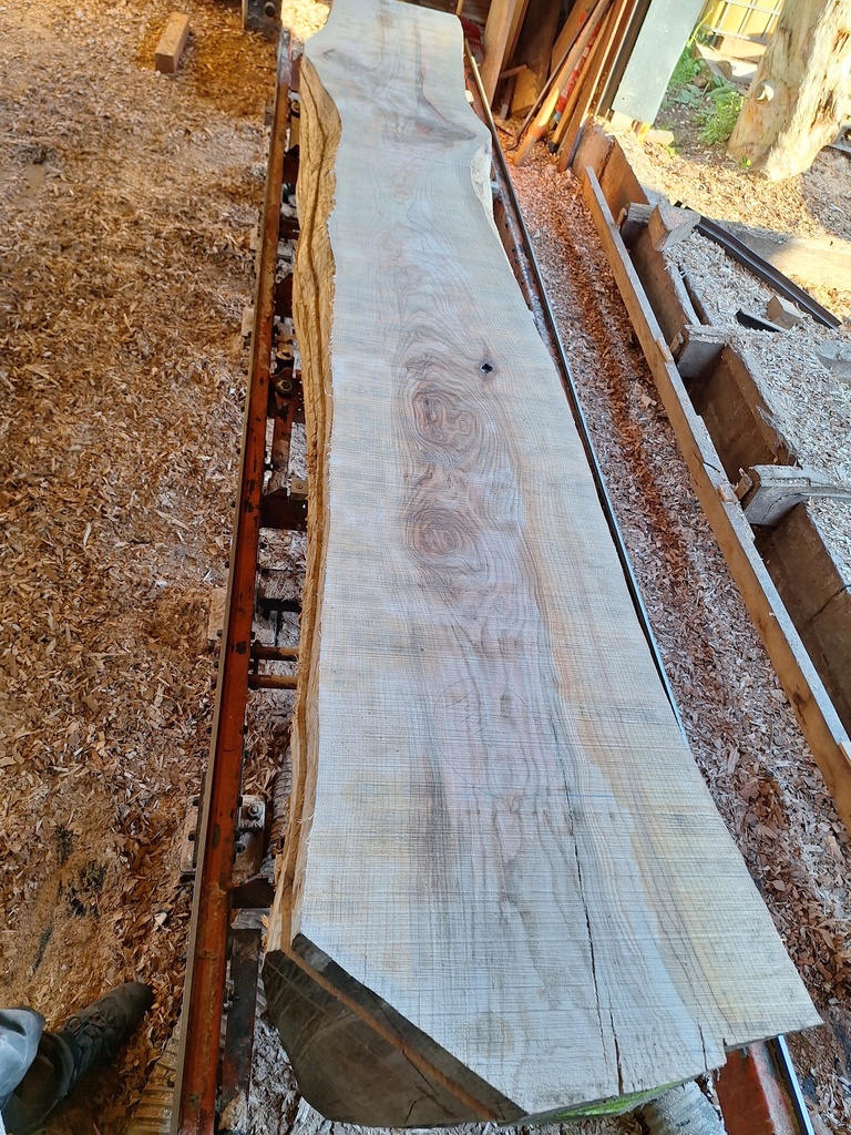 Plateau Frêne 53 x 410-610 x 3950 mm de la boule 1440 - 2