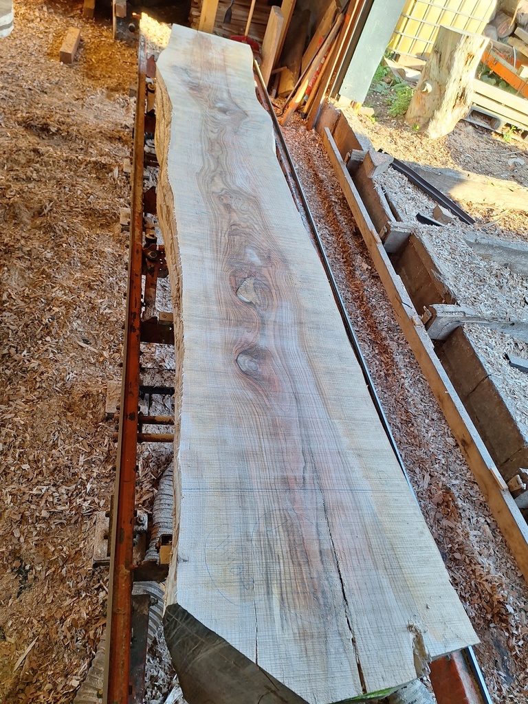 Plateau Frêne 53 x 560-630 x 3950 mm de la boule 1440 - 3