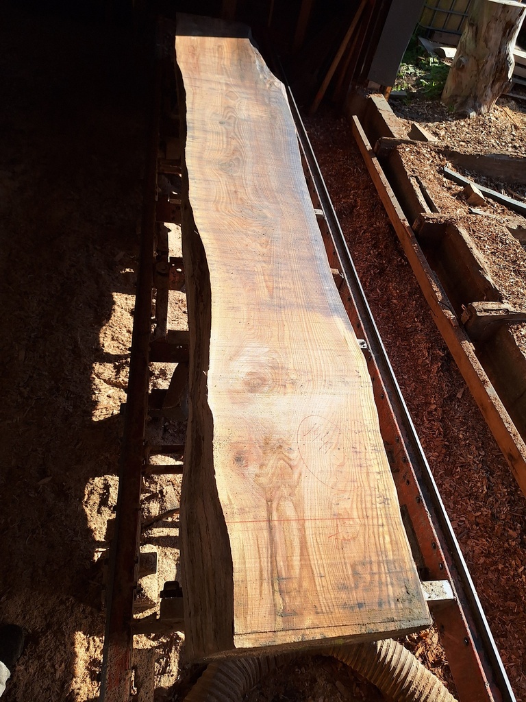 Plateau Chêne Rouge 43 x 420-570 x 4000 mm de la boule 1441 - 2