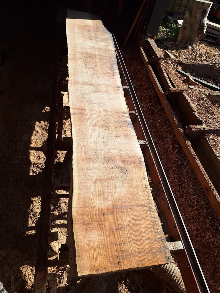 Plateau Chêne Rouge 43 x 530-690 x 4000 mm de la boule 1441 - 4