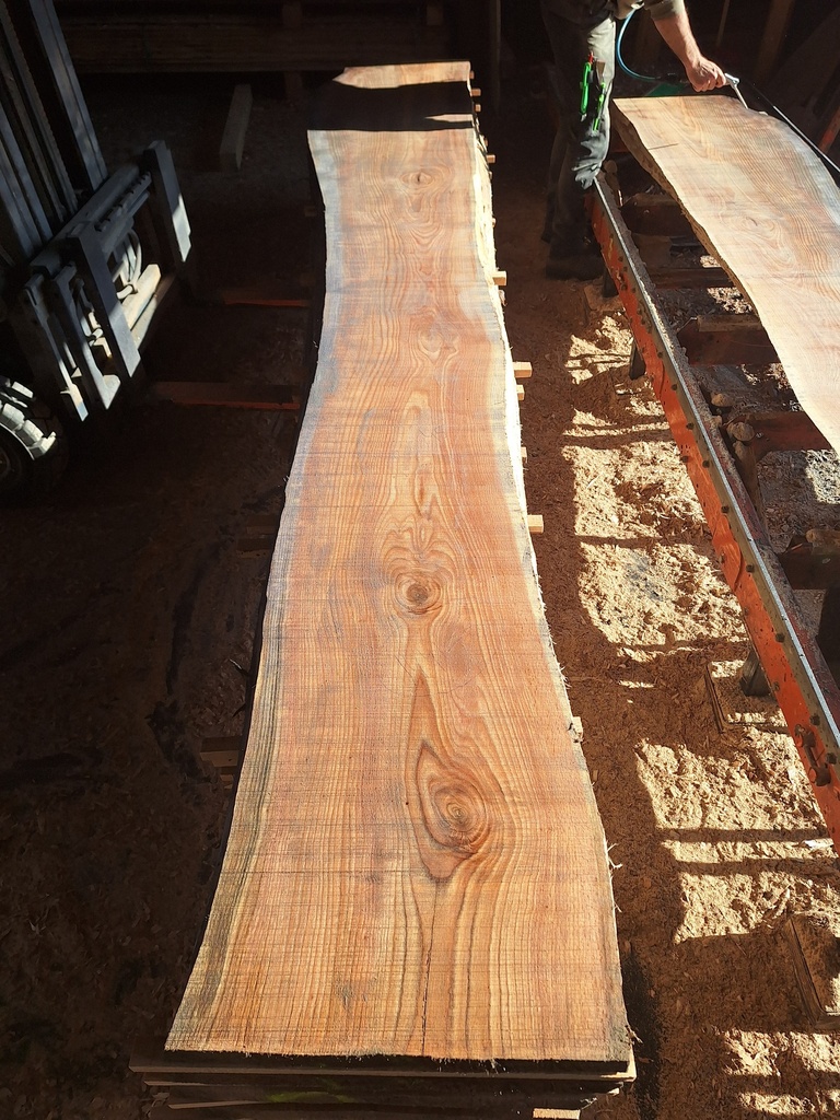 Plateau Chêne Rouge 43 x 450-650 x 4000 mm de la boule 1441 - 6