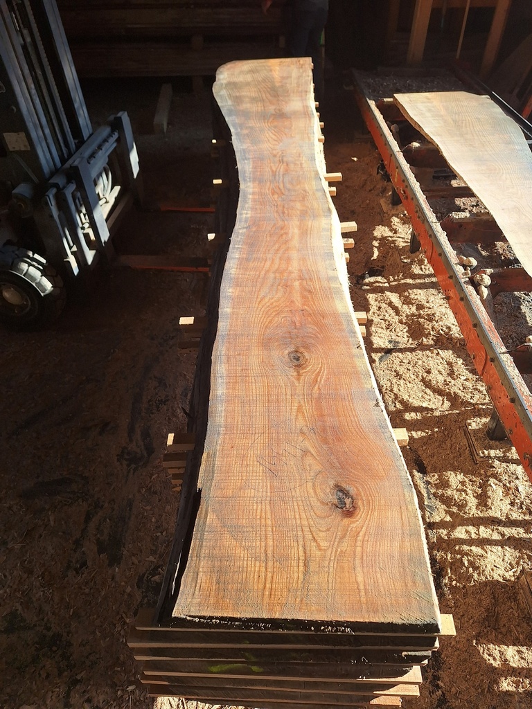 Plateau Chêne Rouge 43 x 360-640 x 4000 mm de la boule 1441 - 7