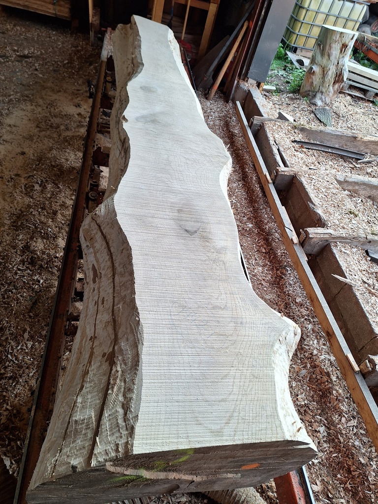 Plateau Frêne 53 x 260-540 x 4000 mm de la boule 1442 - 1