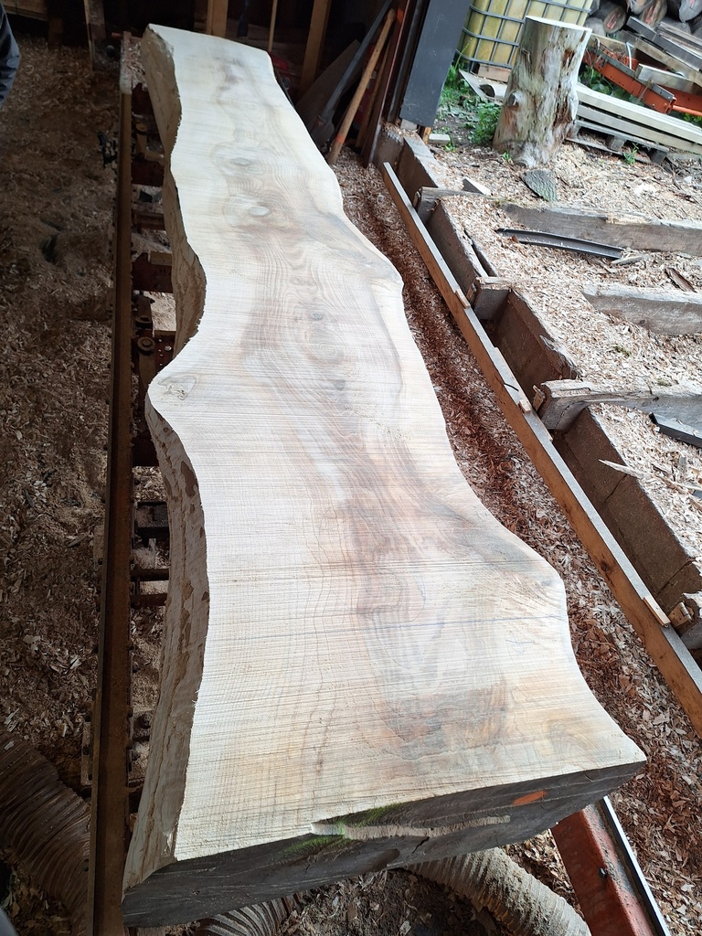 Plateau Frêne 53 x 500-700 x 4000 mm de la boule 1442 - 3