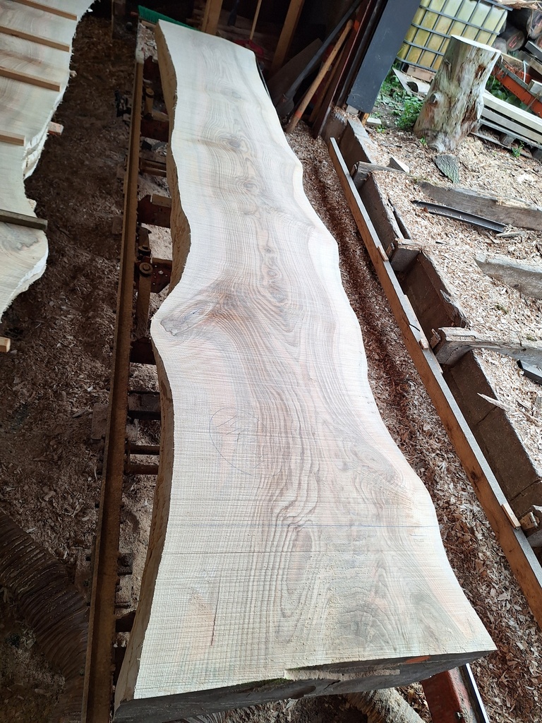 Plateau Frêne 53 x 600-720 x 4000 mm de la boule 1442 - 4