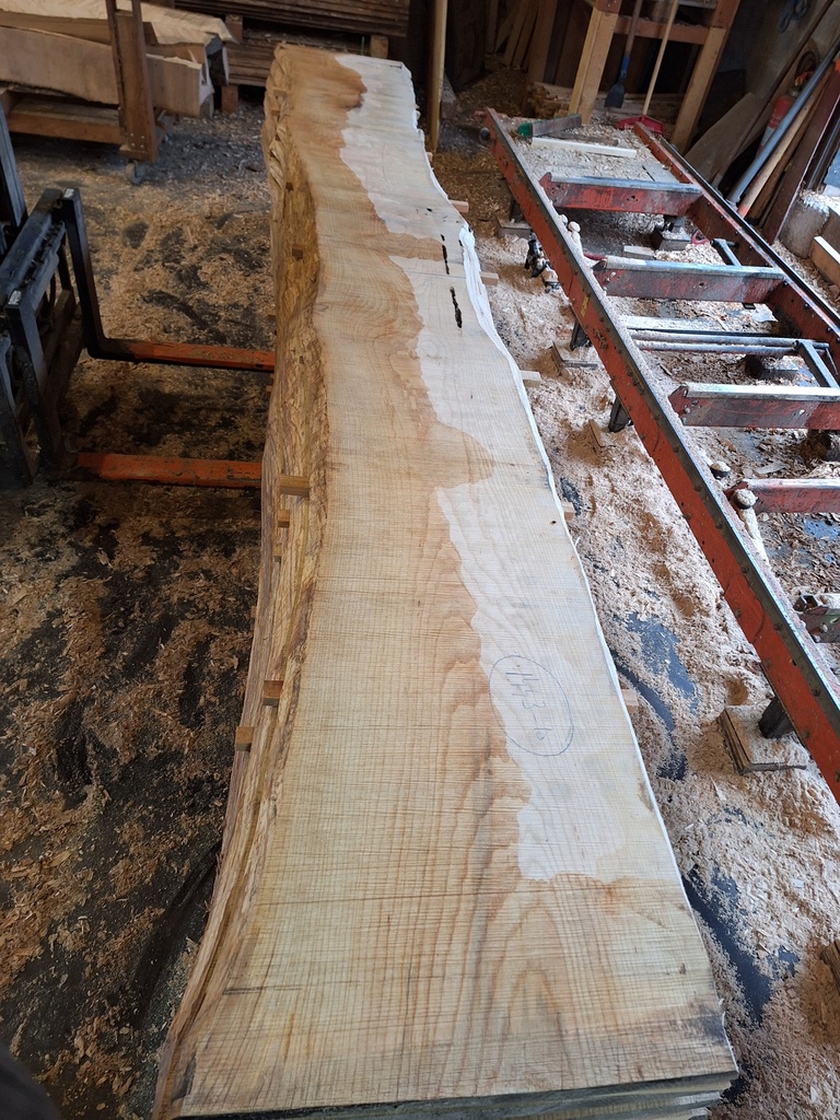 Plateau Frêne 43 x 400-500 x 4000 mm de la boule 1443 - 10