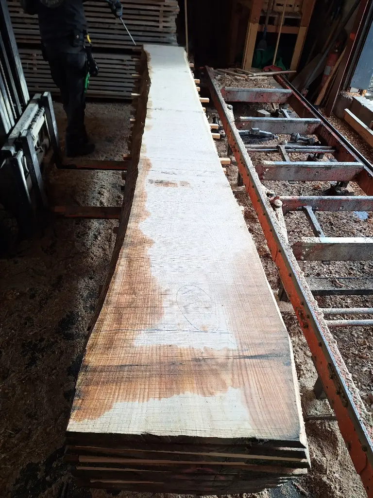 Boule Chêne Rouge - 1470