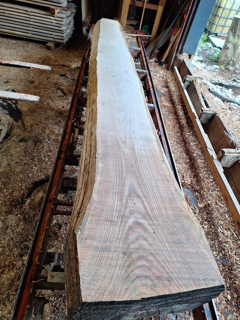 Plateau Chêne Rouge 43 x 320-520 x 4030 mm de la boule 1470 - 1