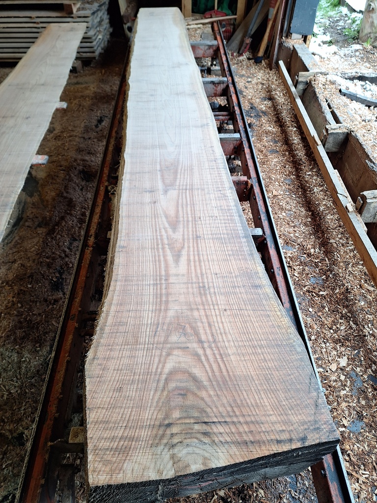 Plateau Chêne Rouge 43 x 410-590 x 4030 mm de la boule 1470 - 2