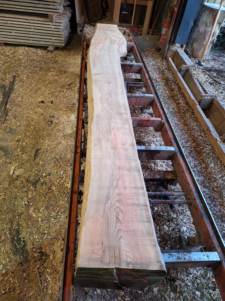 Plateau Frêne 43 x 320-440 x 4050 mm de la boule 1483 - 1