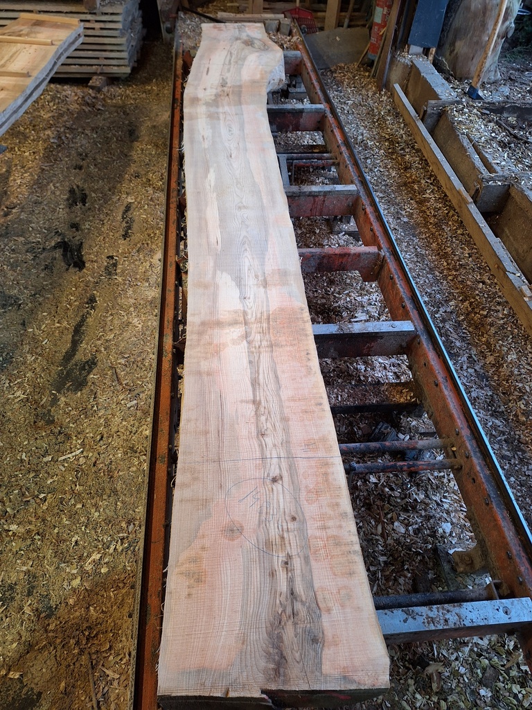 Plateau Frêne 43 x 410-520 x 4050 mm de la boule 1483 - 3