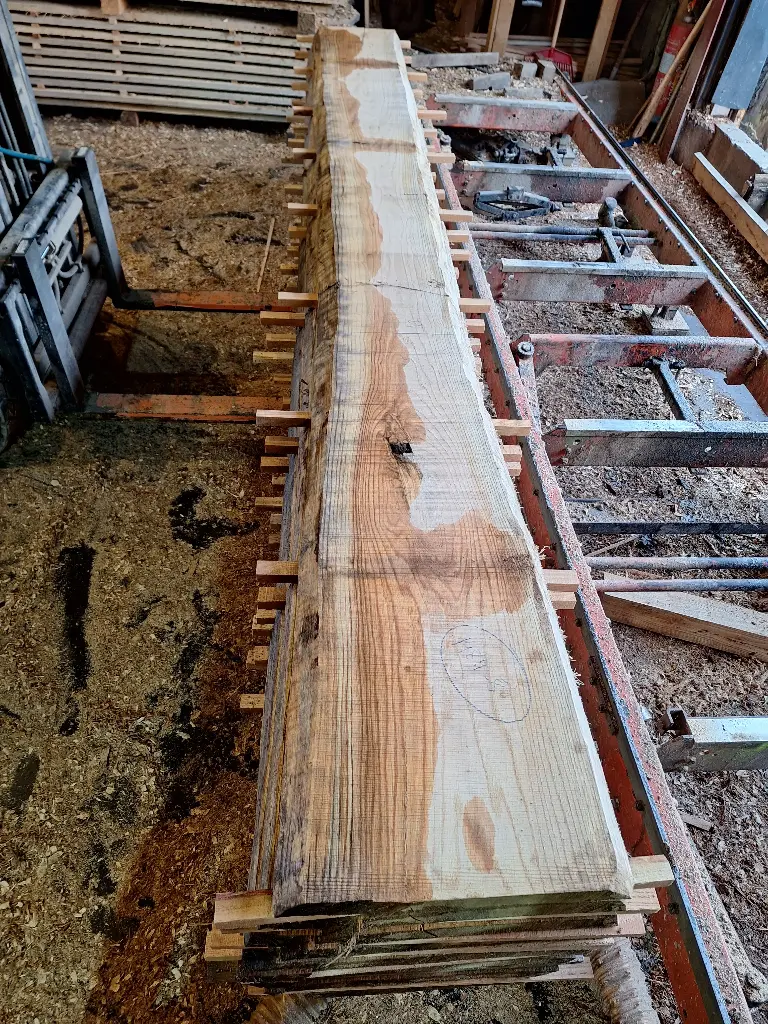 Boule Chêne Rouge - 1484