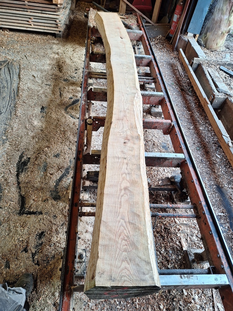 Plateau Frêne 43 x 190-310 x 4000 mm de la boule 1493 - 1