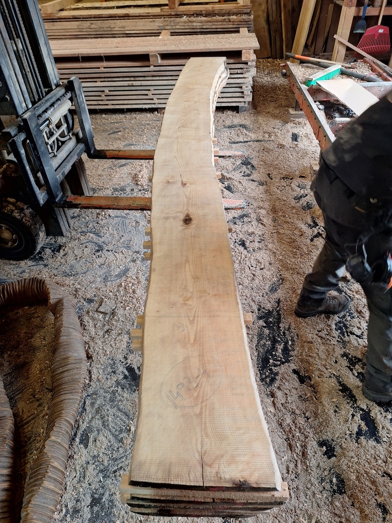 Plateau Frêne 43 x 310-330 x 4000 mm de la boule 1493 - 4