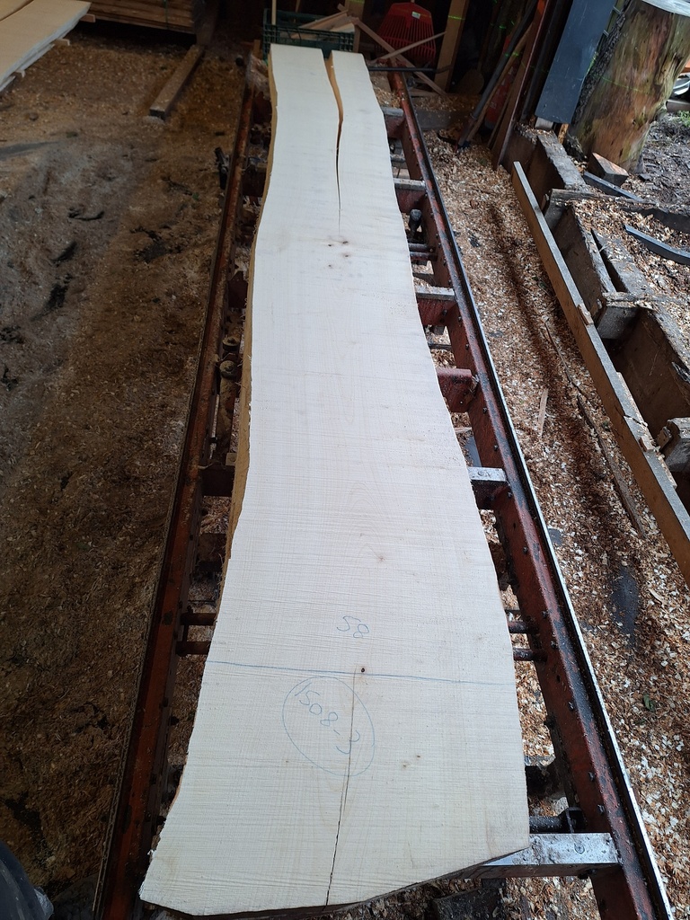 Plateau Erable 53 x 480-580 x 4100 mm de la boule 1508 - 3