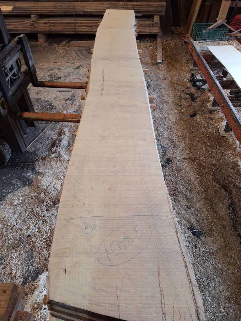 Plateau Erable 53 x 450-560 x 4100 mm de la boule 1508 - 5