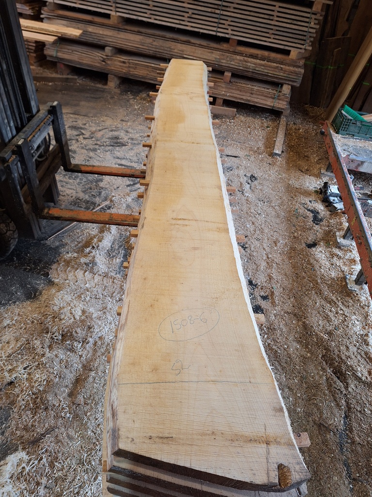 Plateau Erable 53 x 360-520 x 4100 mm de la boule 1508 - 6