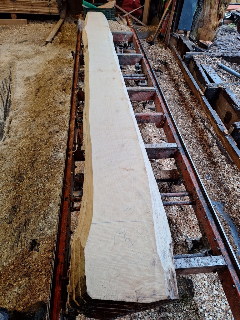 Plateau Erable 43 x 240-310 x 4120 mm de la boule 1509 - 1