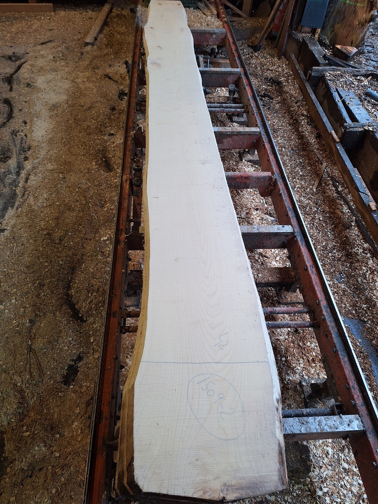 Plateau Erable 43 x 310-420 x 4120 mm de la boule 1509 - 2