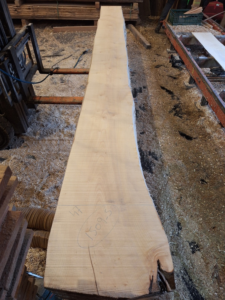 Plateau Erable 43 x 340-470 x 4120 mm de la boule 1509 - 5