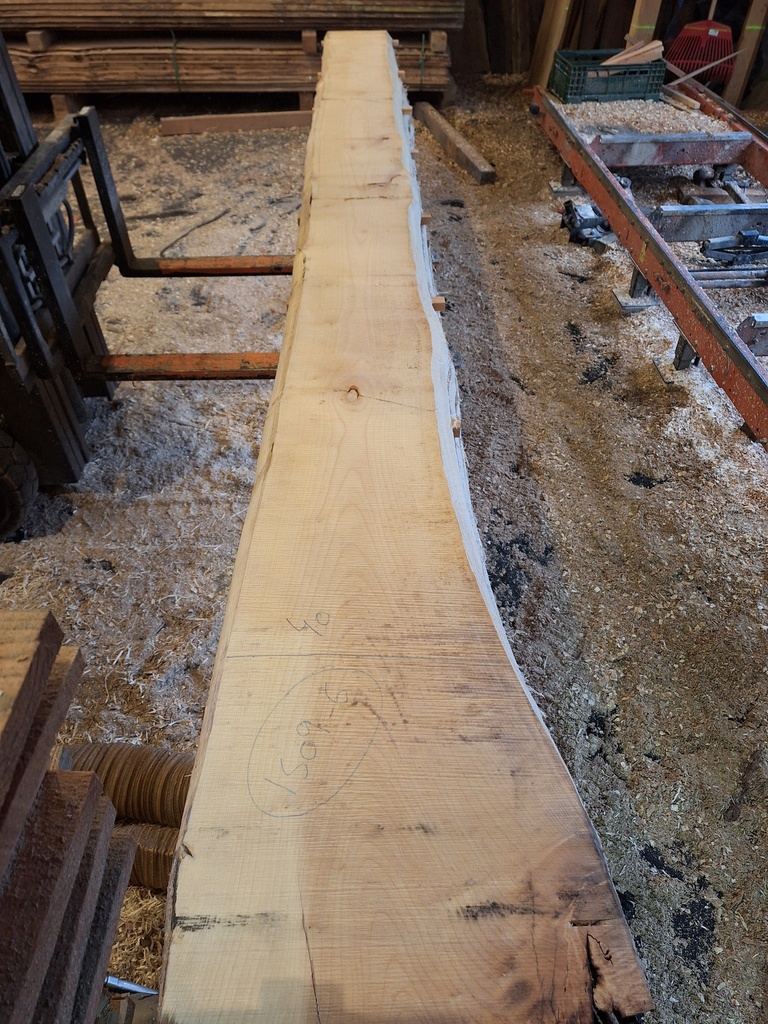 Plateau Erable 43 x 250-400 x 4120 mm de la boule 1509 - 6