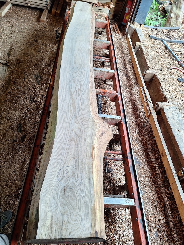 Plateau Frêne 43 x 310-340 x 3940 mm de la boule 955 - 1