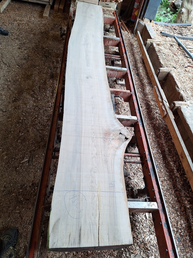 Plateau Frêne 43 x 460-490 x 3940 mm de la boule 955 - 4