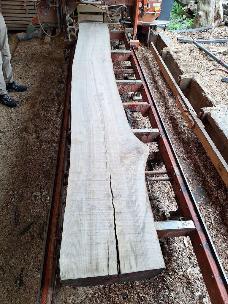 Plateau Frêne 43 x 480-510 x 3940 mm de la boule 955 - 5