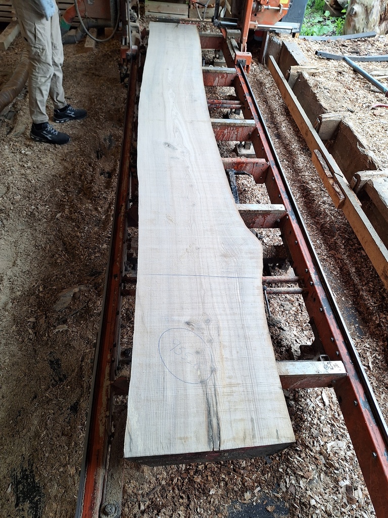 Plateau Frêne 43 x 470-520 x 3940 mm de la boule 955 - 6