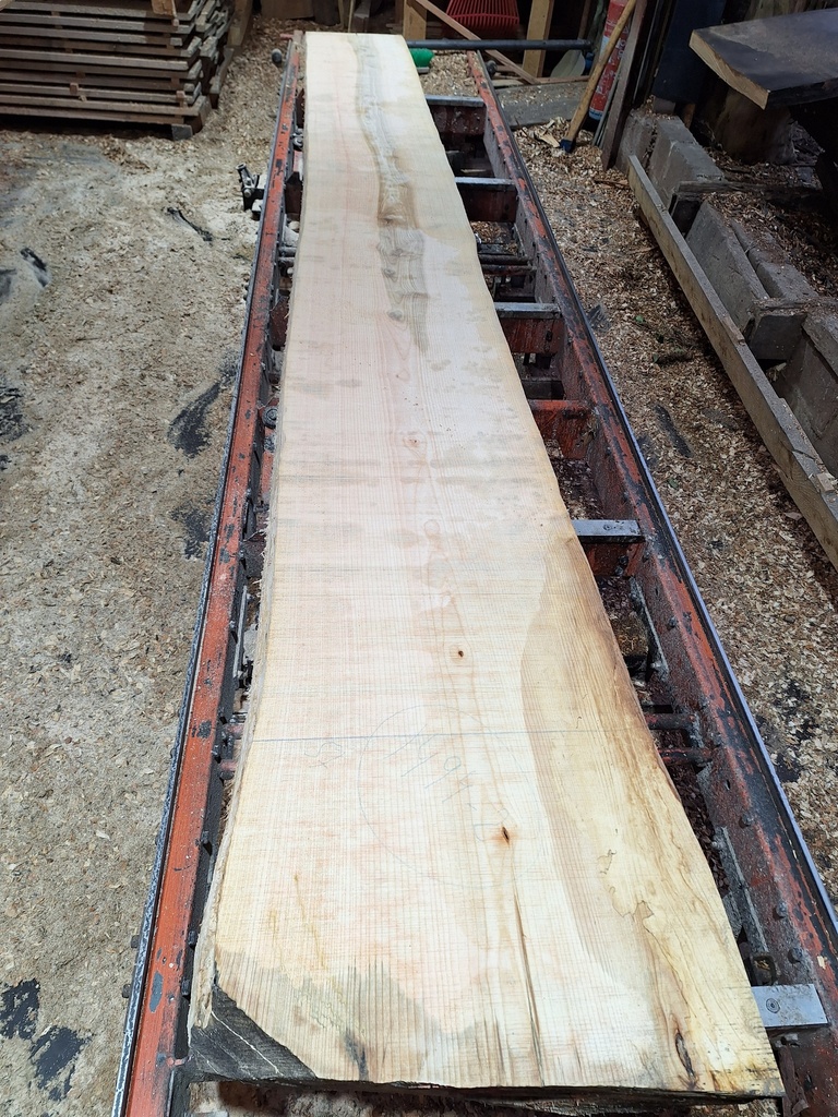 Plateau Frêne 43 x 440-570 x 4050 mm de la boule 1494 - 2