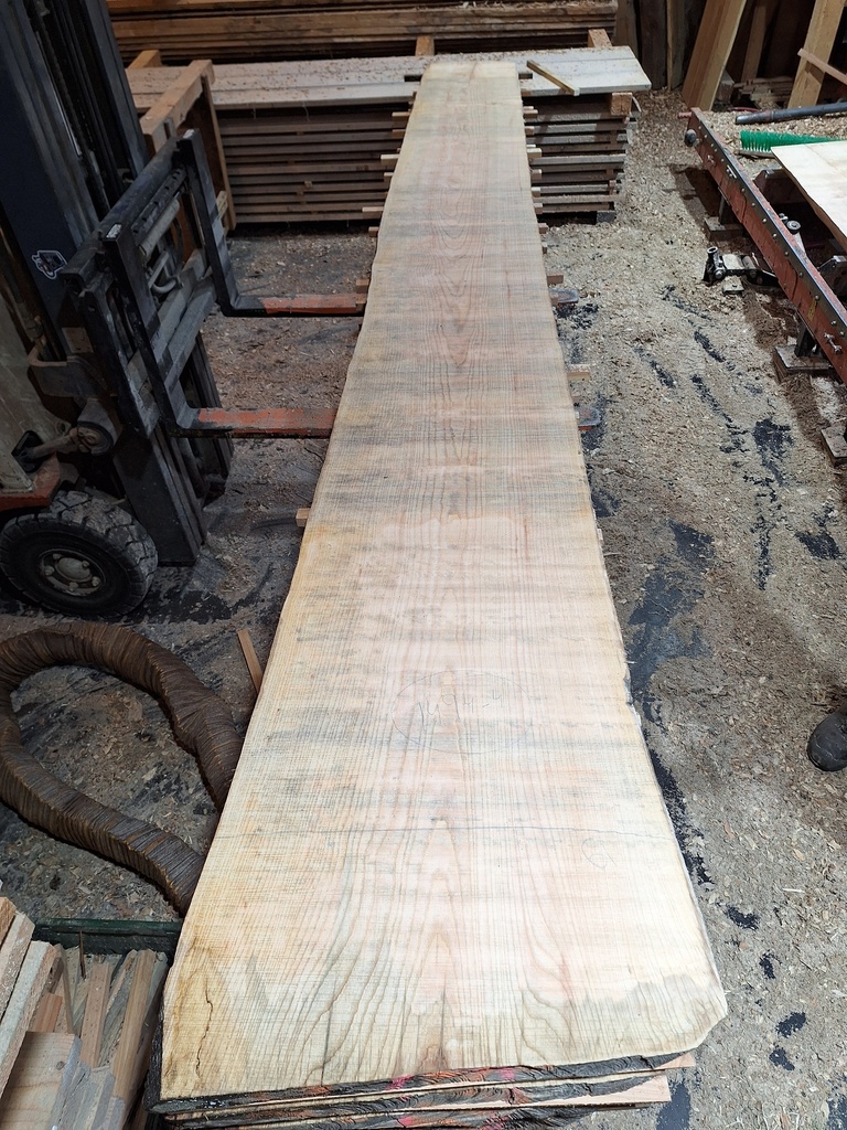 Plateau Frêne 43 x 420-610 x 4050 mm de la boule 1494 - 4