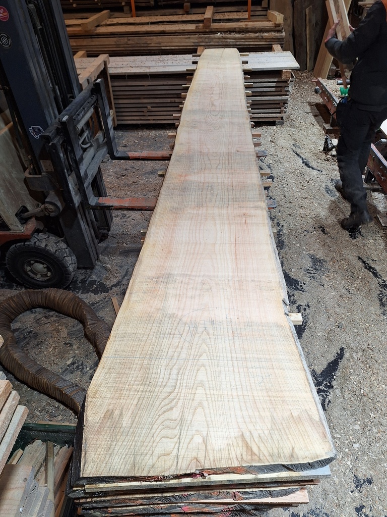 Plateau Frêne 43 x 370-570 x 4050 mm de la boule 1494 - 5