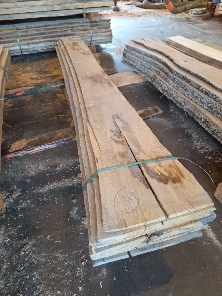 Boule Chêne Commun - 114