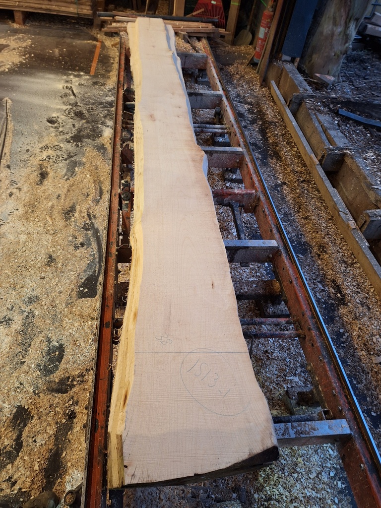 Plateau Erable 43 x 260-380 x 4100 mm de la boule 1513 - 1