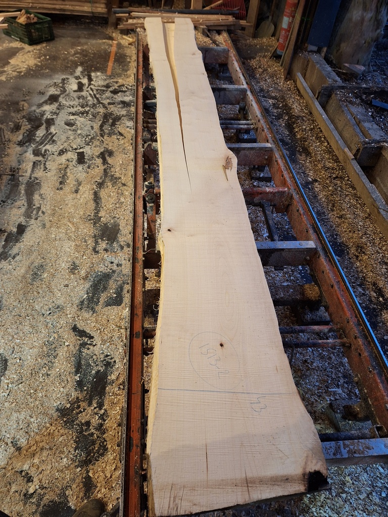 Plateau Erable 43 x 320-430 x 4100 mm de la boule 1513 - 2