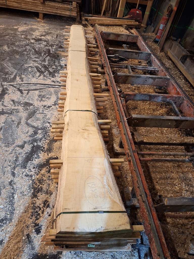 Plateau Erable 43 x 200-300 x 4100 mm de la boule 1513 - 6