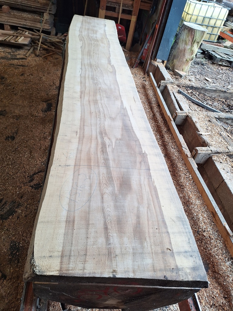 Plateau Hêtre 78 x 660-680 x 4120 mm de la boule 1516 - 2