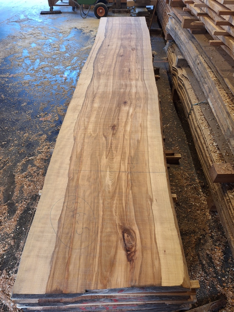 Plateau Hêtre 78 x 700-750 x 4120 mm de la boule 1516 - 5