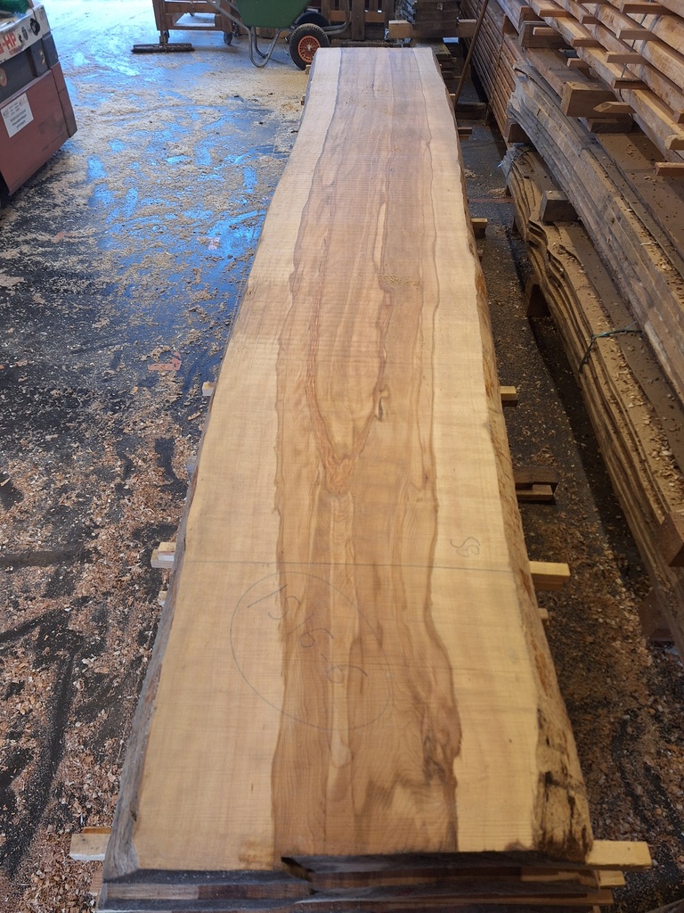 [PL-HET-1516-6] Plateau Hêtre 78 x 580-660 x 4120 mm de la boule 1516 - 6