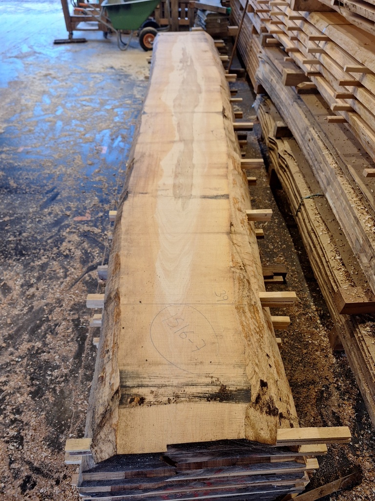 Plateau Hêtre 78 x 390-500 x 4120 mm de la boule 1516 - 7
