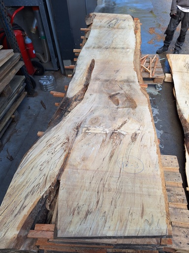 [PL-MAR-98-3] Plateau Marronnier 53 x 640-740 x 3450 mm de la boule 98 - 3