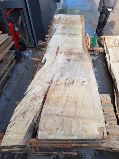 [PL-MAR-98-4] Plateau Marronnier 63 x 640-800 x 3450 mm de la boule 98 - 4