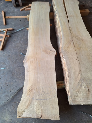 [PL-HET-130-5] Plateau Hêtre 38 x 340-380 x 1810 mm de la boule 130 - 5