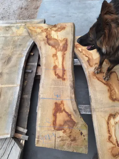 [PL-CHE-489-1] Plateau Chêne Commun 53 x 400-740 x 1730 mm de la boule 489 - 1