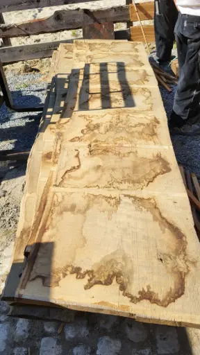 [PL-CHE-535-4] Plateau Chêne Commun 48 x 720-750 x 3800 mm de la boule 535 - 4