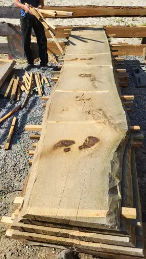 [PL-CHE-535-11] Plateau Chêne Commun 48 x 570-420 x 3800 mm de la boule 535 - 11