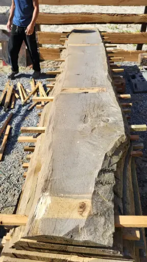 [PL-CHE-535-12] Plateau Chêne Commun 48 x 340-450 x 3800 mm de la boule 535 - 12